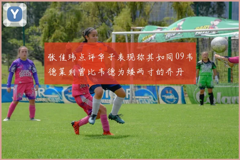 张佳玮点评华子表现称其如同09韦德莱利曾比韦德为矮两寸的乔丹