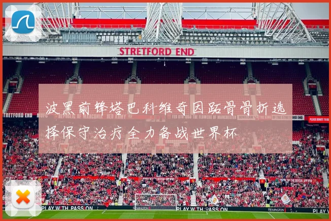 波黑前锋塔巴科维奇因跖骨骨折选择保守治疗全力备战世界杯