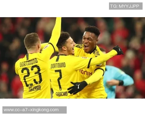 杜塞尔多夫正式签约多特蒙德年轻中锋保利纳转会费为40万欧元